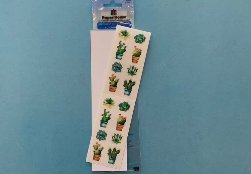 female hands display stickers featuring illustrated succulents, on blue background with package.