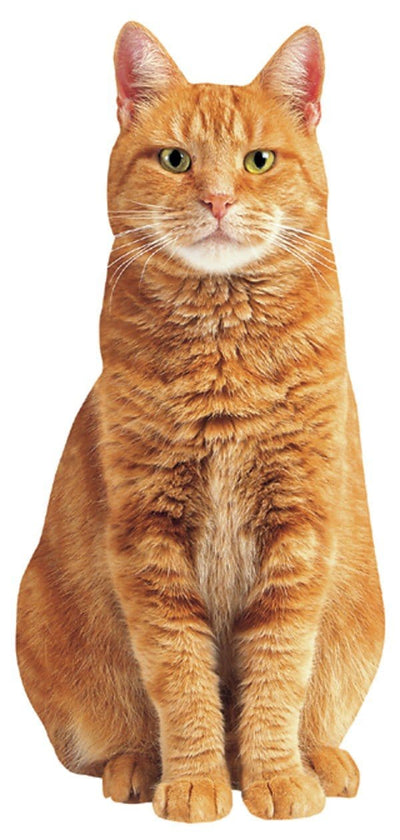 die cut note card featuring a photo real red tabby cat with green eyes, shown on white background.