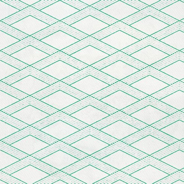 P-2081E - Scrapbook Paper - Wizard of Oz Tags Double-Sided - Green and white diamond lattice pattern on light background with dimensional line work
