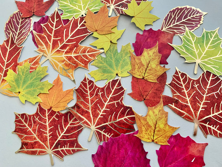 Assortment of die cut scrapbook stickers featuring fall leaves with gold details shown on gray background.