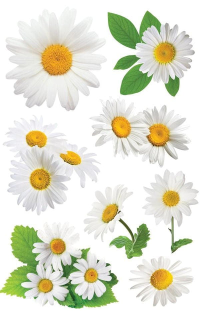 3D scrapbook stickers featuring photo-real yellow and white oxeye daisies.