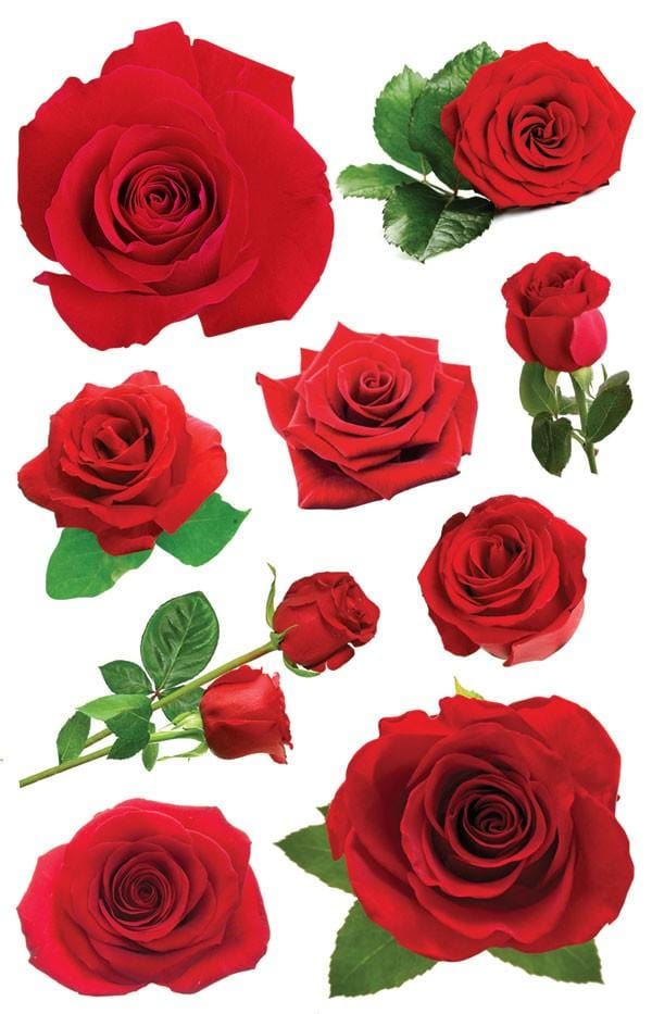 3D scrapbook stickers featuring photo-real red roses
