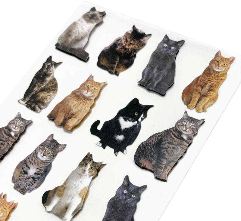 close up of scrapbook stickers featuring an assortment of photo real cats.