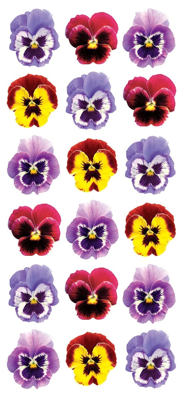 STP-0058E - Puffy Stickers - Pansies - Grid of 18 colorful pansy flower stickers in purple, pink, red, and yellow with distinctive dark centers and white markings